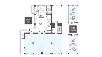 ホール会場平面図 - ハートンホール心斎橋別館 桜の間取り図
