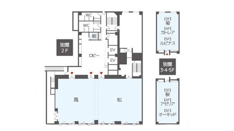 ルピナス - ハートンホール心斎橋別館