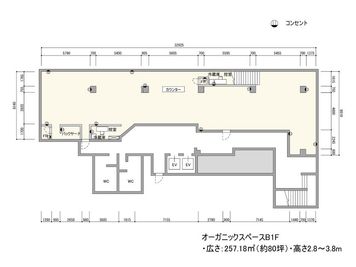 B1Fフロアマップ - BPオーガニックスペース南船場 osB1F-ワンフロアの間取り図
