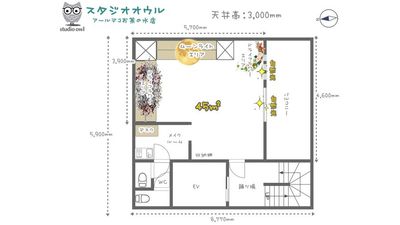 studio owl アールデコお茶の水店｜撮影スタジオ お月さまと超大型ドライフラワー造形で撮影できるフォトスタジオの間取り図