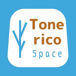 Tonerico Space