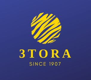 3TORA Inc. 