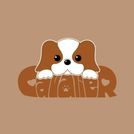 owner-profile