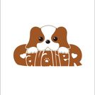 owner-profile