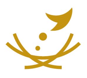 掲載者