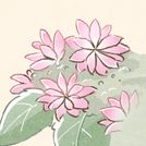 owner-profile