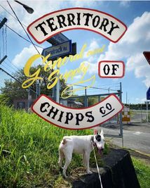 TERRITORY