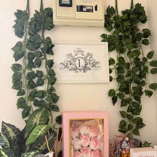 Luana武蔵小杉　レンタルサロン - Luana武蔵小杉　レンタルサロン