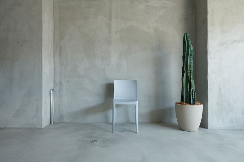 studio Nicotama　〜スタジオ　ニコタマ〜 - studio Nicotama