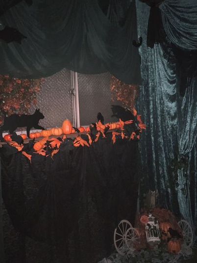 撮影スタジオ　studiowolf - スタジオ　ウルフ