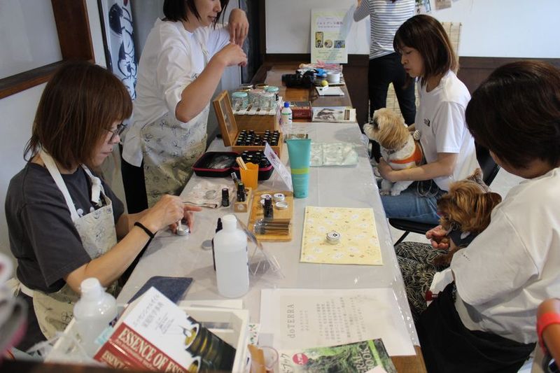 レンタルスペースMOKOん家 - 保護っ子ふれあいMOKOん家