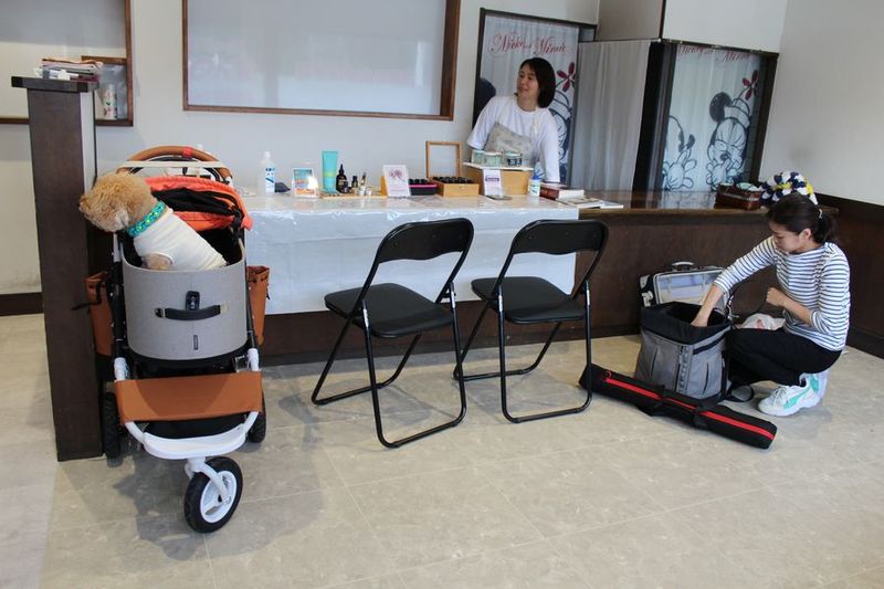 レンタルスペースMOKOん家 - 保護っ子ふれあいMOKOん家