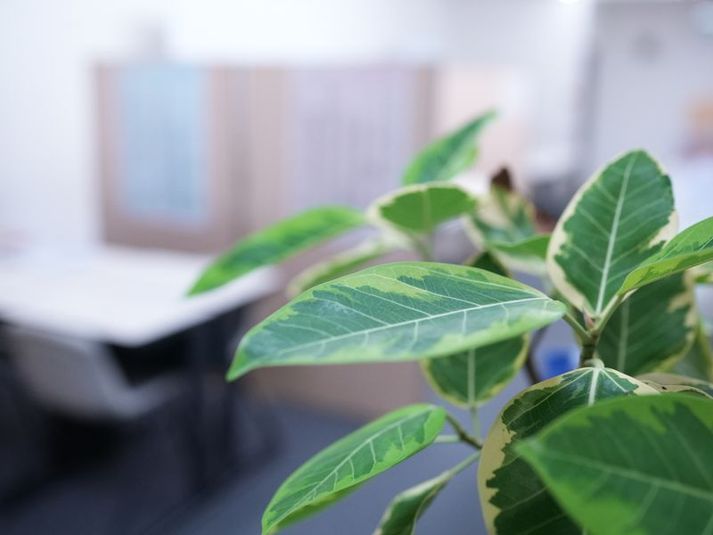 レンタルスペース - 大英個別指導学院 岩倉校