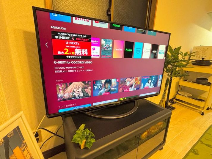 NEW OPEN‼︎☘️グリーンルーム　獨協大学前☘️ - NEW OPEN‼︎ グリーンルーム/獨協大学前