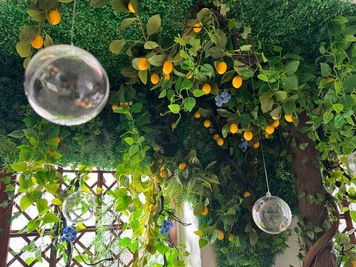 レモンの木 - ONIKU studio（おにくスタジオ） おにくスタジオ・元アイドルが考えた可愛い詰まった撮影スタジオ！の室内の写真