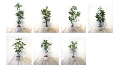 KYOYA薬院ビル2F ｢ レンタルスペース｣ ＫＹＯＹＡ　レンタルスペースⅠの室内の写真