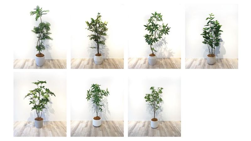 ＫＹＯＹＡ　レンタルスペースⅡ - KYOYA薬院ビル2F ｢ レンタルスペース｣