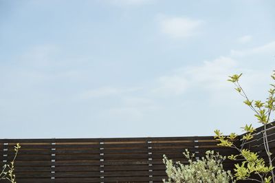視界いっぱいに広がる空。抜け感のある背景カットに。 - ブレンドスタジオ (Blend Studio) 【土日祝・個人限定】一棟貸切の映像・MV撮影スタジオ｜3時間の室内の写真