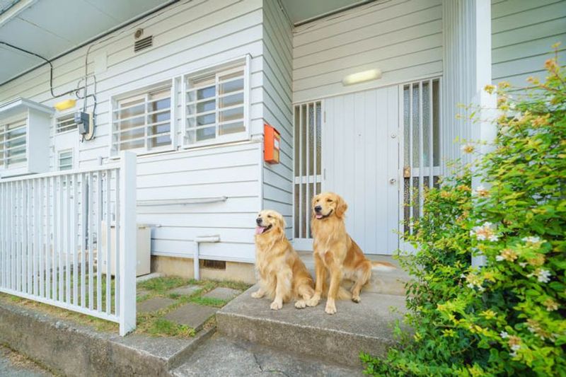 白い小さな一軒家ハウススタジオ　杉並区　本物のこだわり建築 - 杉並ハウススタジオ