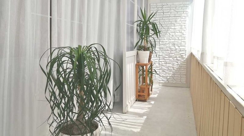 ビュースタジオ水道橋 - ViewStudio水道橋