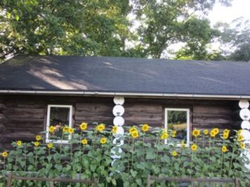 風の駅舎ログハウスの室内の写真