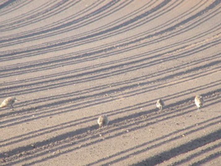 風の駅舎ログハウス - 風の駅舎ログハウス