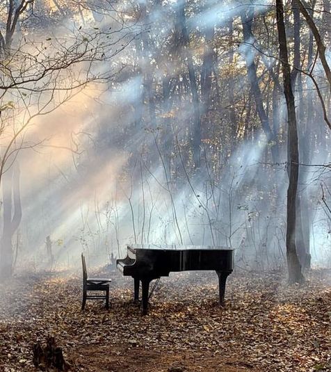 森の中に６mの本棚が佇む場所「那須塩原８８」 - 那須塩原「KIN」