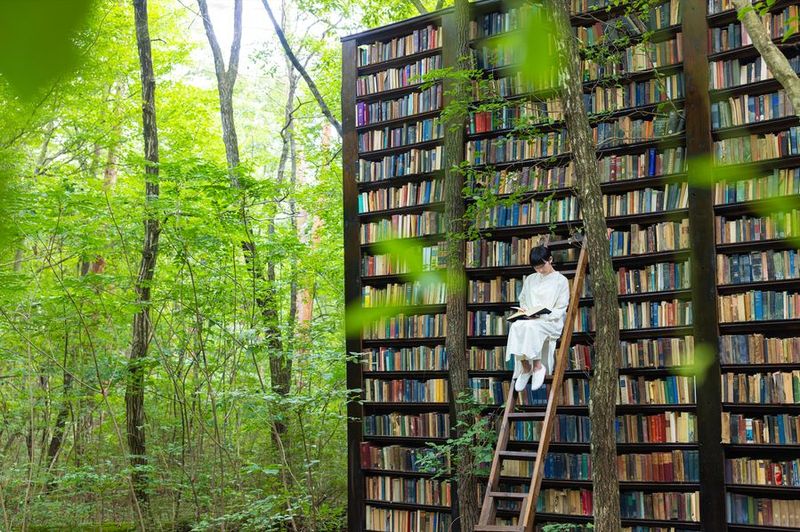 森の中に６mの本棚が佇む場所「那須塩原８８」 - 那須塩原「KIN」