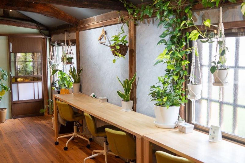 コワーキングスペース（ドロップイン） - 古民家コワーキングスペースCOMMUNE泉佐野
