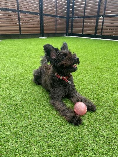 レンタルスペースひふみ - レンタルスペースひふみ