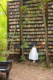 モデル身長１６５センチ - 那須塩原「KIN」 森の中に６mの本棚が佇む場所「那須塩原８８」の室内の写真