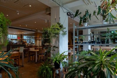 プランツショップコーナーからの眺め - HOME/WORK VILLAGE GOOD TEMPO -MUSIC, BAR & PLANTS-の室内の写真