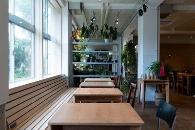 HOME/WORK VILLAGE GOOD TEMPO -MUSIC, BAR & PLANTS-の室内の写真