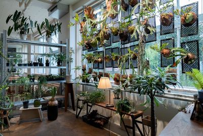 プランツショップコーナー - HOME/WORK VILLAGE GOOD TEMPO -MUSIC, BAR & PLANTS-の室内の写真