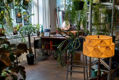 プランツショップコーナー - HOME/WORK VILLAGE GOOD TEMPO -MUSIC, BAR & PLANTS-の室内の写真