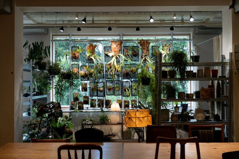 GOOD TEMPO -MUSIC, BAR & PLANTS- - HOME/WORK VILLAGE