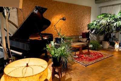 HOME/WORK VILLAGE GOOD TEMPO -MUSIC, BAR & PLANTS-の室内の写真