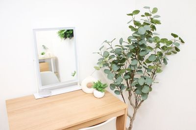 レンタルサロンPalette三軒茶屋店 自然の光がたっぷり入るプライベートサロン☀️🍀の設備の写真