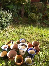 お庭での撮影もご相談ください - 代田スタジオ 【代田スタジオ】練習室・セラピールーム・小発表会・ミーティングにの室内の写真