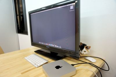 猫がいる会議室バンブーグローブ 会議室の設備の写真