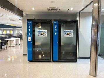 テレキューブ 宮崎ブーゲンビリア空港 290-01の室内の写真