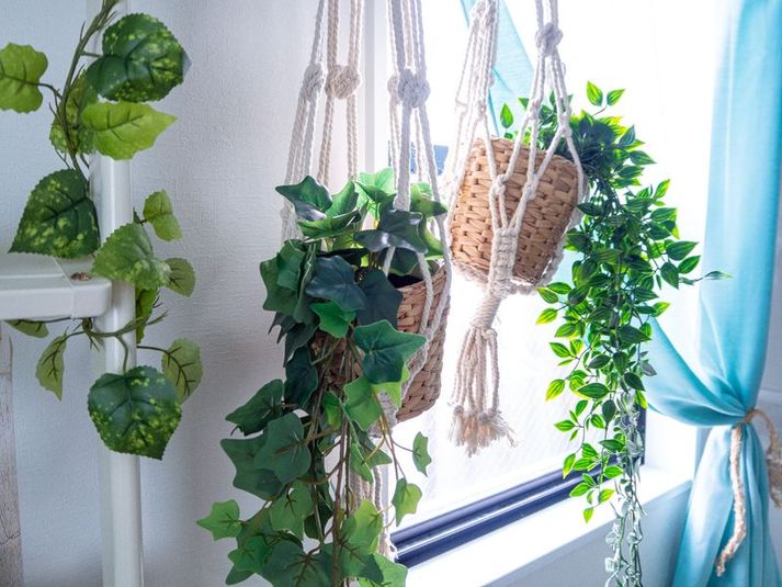 bros2ndボタニカル - セカンドXi川崎パーティスペース