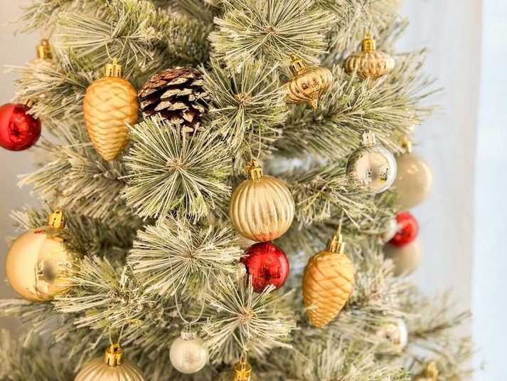 小岩駅6分🥳北欧インテリア🌿女子会💗タコパ🥘レピーロ小岩 - レピーロ小岩