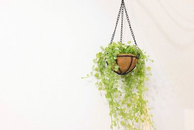 レンタルサロンOnlynaなんば店の設備の写真