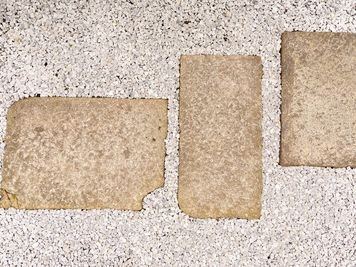 Yanaka Ginza Studio 『日暮里・千駄木』生魂様神社 /撮影ロケ地の室内の写真