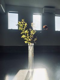 Studio Cocoon Studio Cocoon（スタジオコクーン）の室内の写真