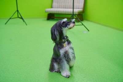 迎賓館CLUB 迎賓館CLUBスタジオの室内の写真