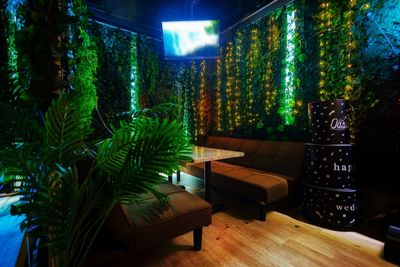 Bar Oasis 【那覇 久茂地の隠れ家】 Bar Oasisの室内の写真