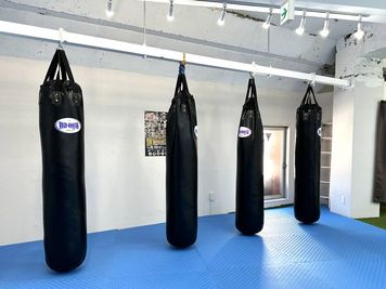 サンドバック - スターライト所沢ジム 所沢駅３分｜リング・サンドバッグ・大鏡完備の格闘技・練習空間の室内の写真