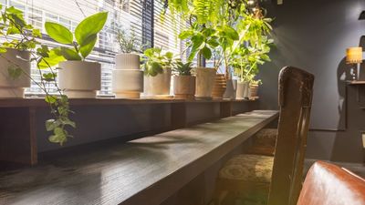 802_CafefleurLOUNGE心斎橋 レンタルスペースの室内の写真